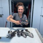 a man holding a fish