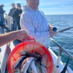 a person holding a fish on a boat in the water